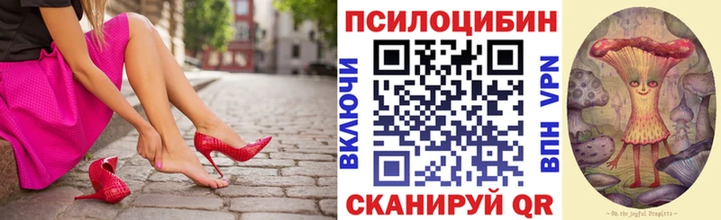 Псилоцибиновые грибы мицелий  где можно купить наркотик  Сальск 
